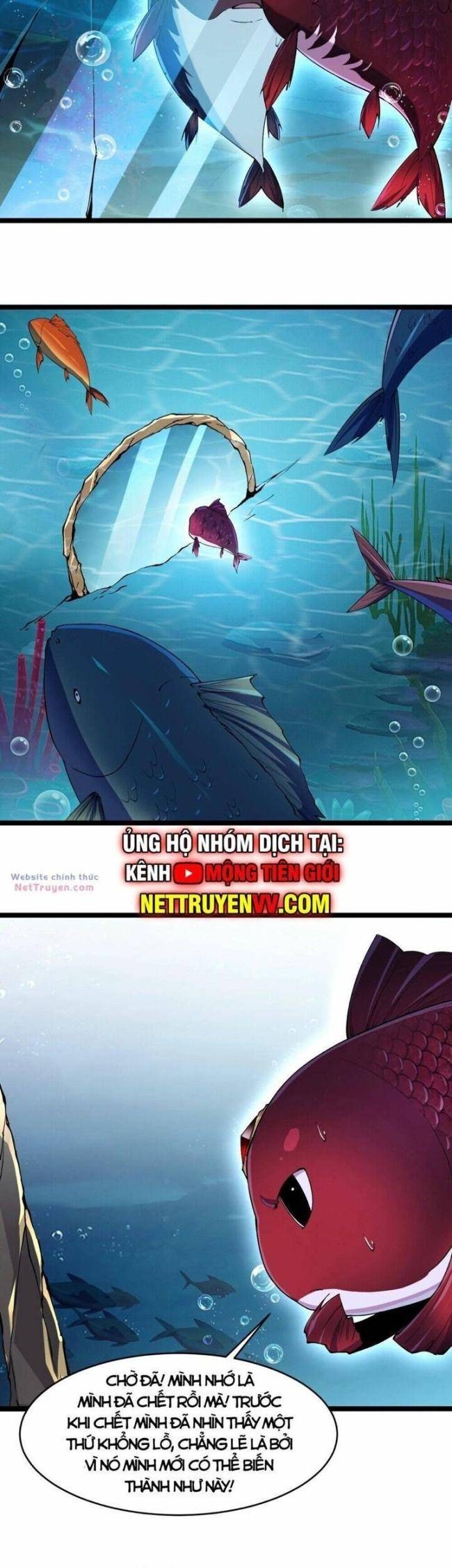Cá Chép Tiến Hoá Thành Thần Long - Page 19