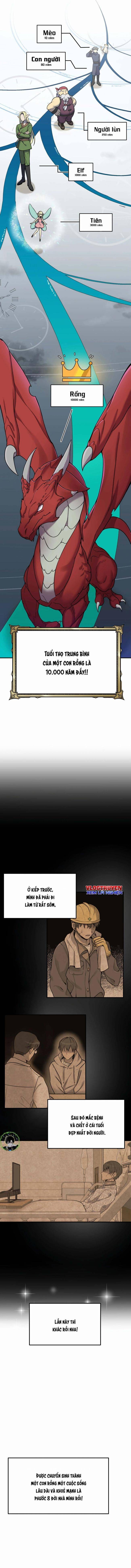 Phương Pháp Sinh Tồn Của Rồng Sắp Ngủm - Page 16