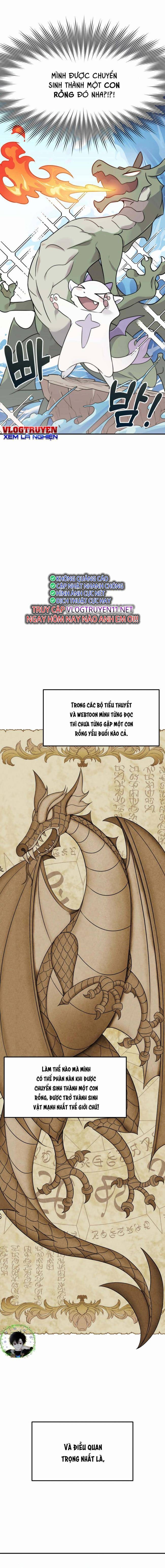 Phương Pháp Sinh Tồn Của Rồng Sắp Ngủm - Page 15