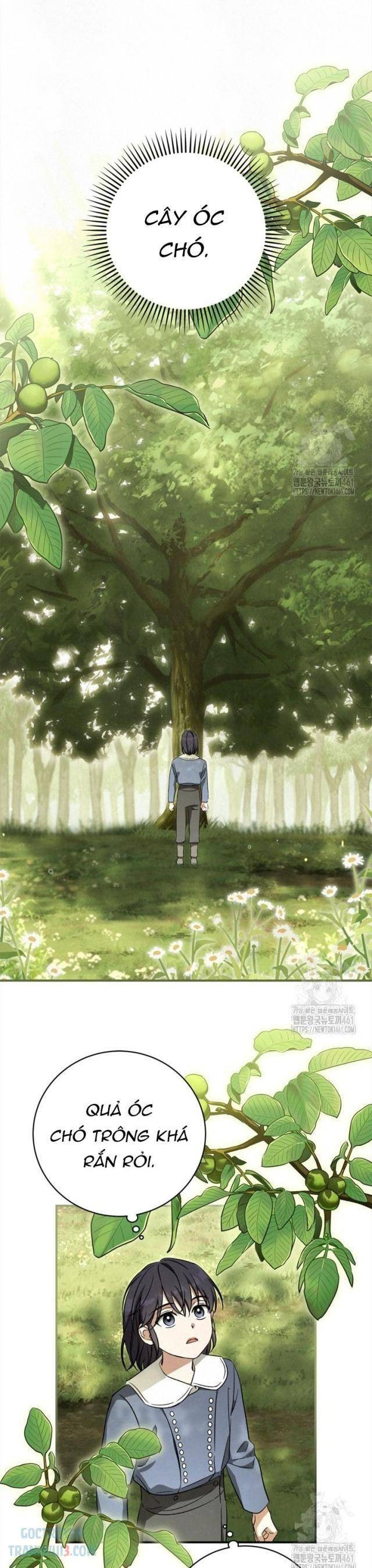 Ấn Thuật Chi Tử - Page 21