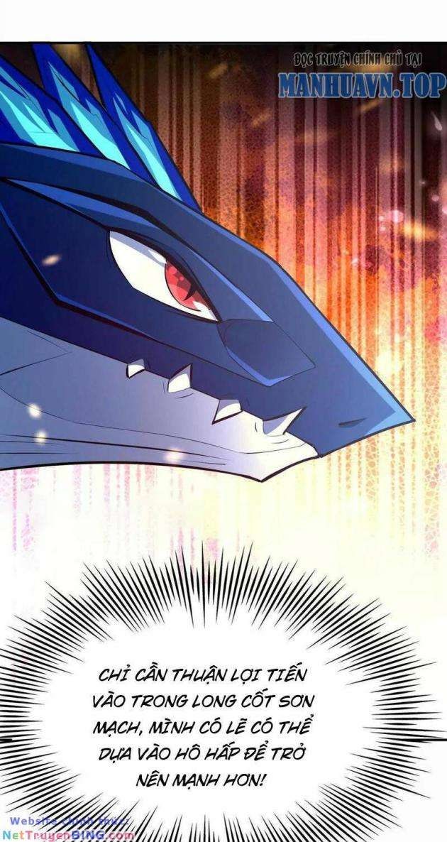 Thần Thú Quật Khởi - Page 27
