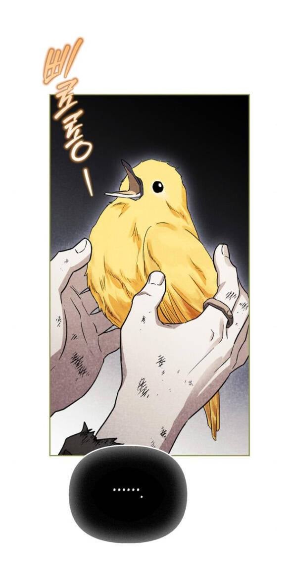 Tôi Thuần Hóa Chó Điên Của Chồng Cũ - Page 23