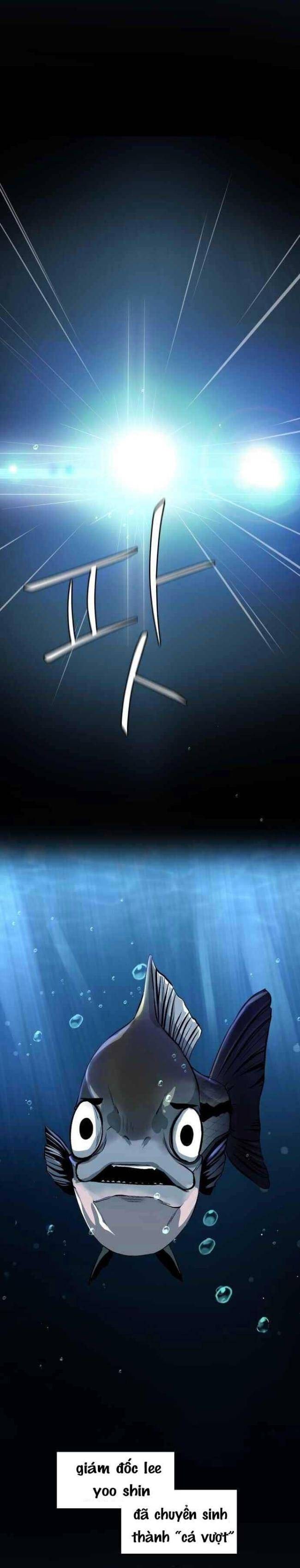 Hoá Thân Thành Cá - Page 36