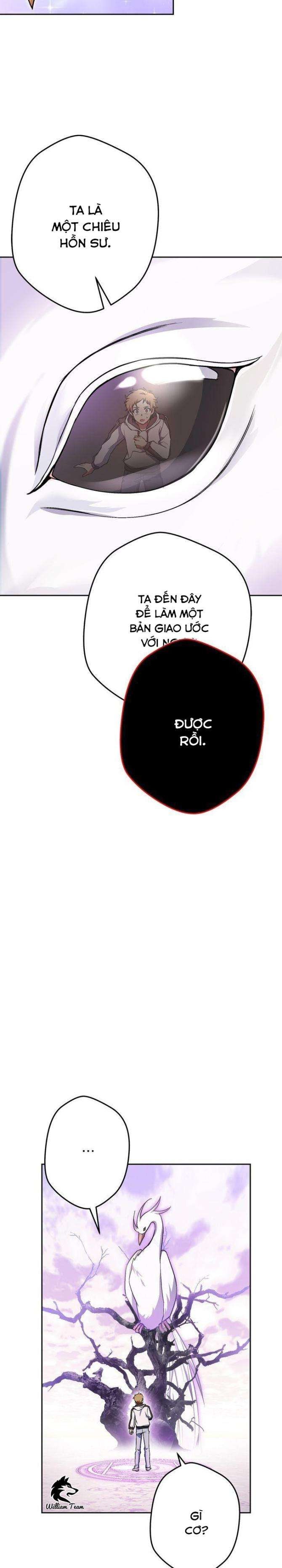 Sự Sống Sót Của Kẻ Chiêu Hồn - Page 33