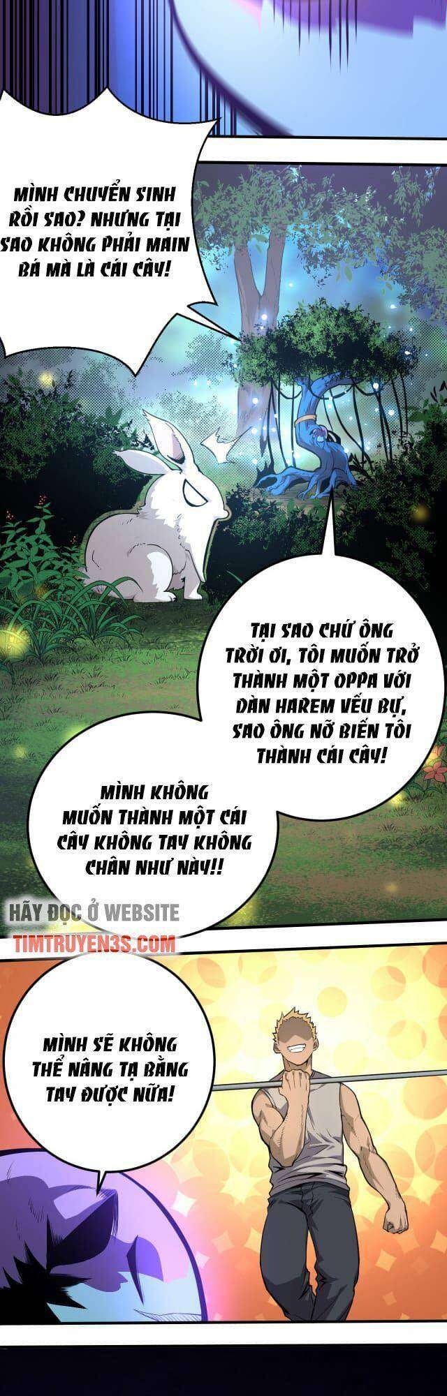 Chuyển Sinh Thành Liễu Đột Biến - Page 11