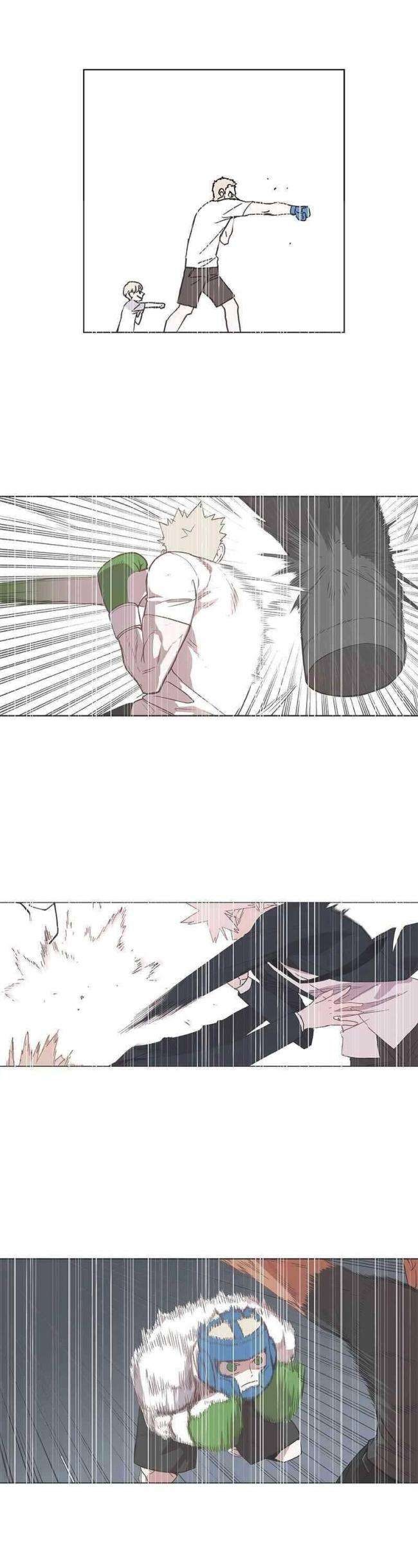 Võ Sĩ Quyền Anh - Page 29