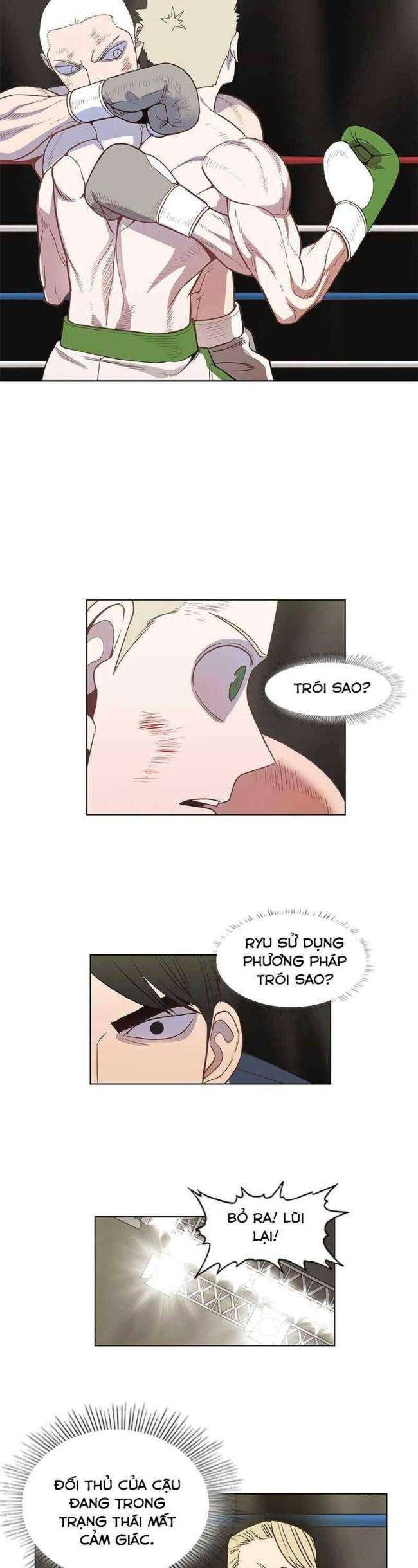 Võ Sĩ Quyền Anh - Page 30