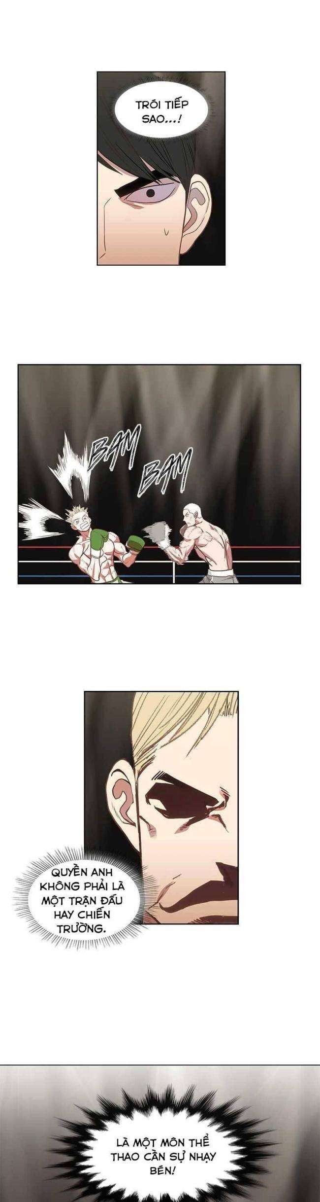 Võ Sĩ Quyền Anh - Page 33