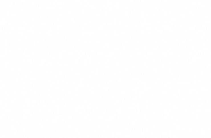 Kẻ Ngoại Lai Ở Vùng Đất Bị Ruồng Bỏ - Page 28