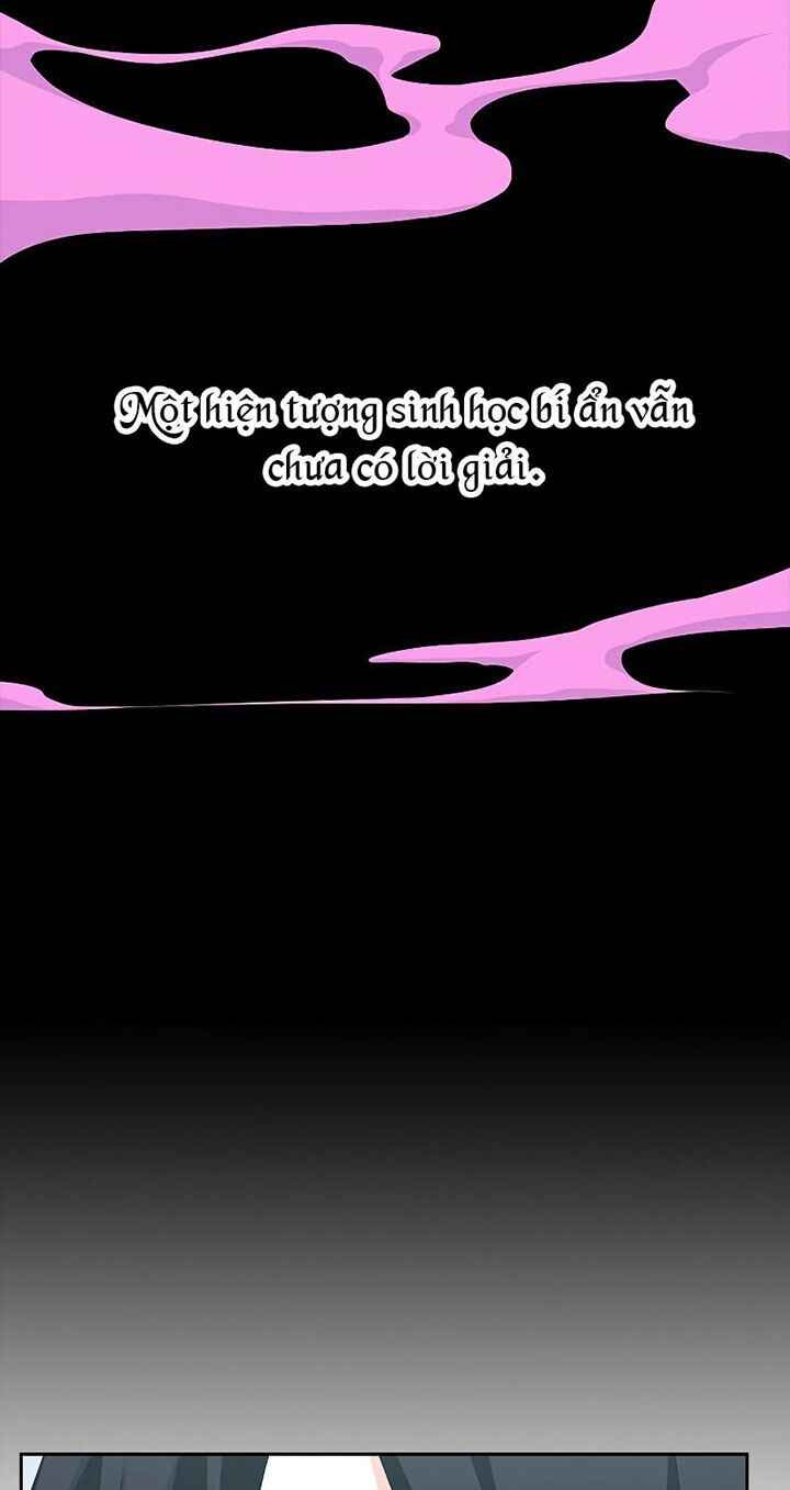 Kẻ Ngoại Lai Ở Vùng Đất Bị Ruồng Bỏ - Page 74