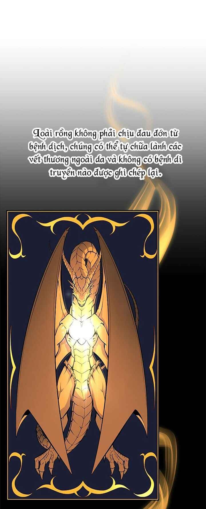 Kẻ Ngoại Lai Ở Vùng Đất Bị Ruồng Bỏ - Page 26