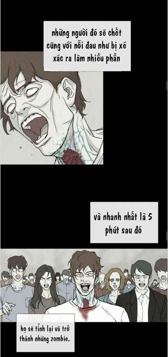 Return Survival - Page 16