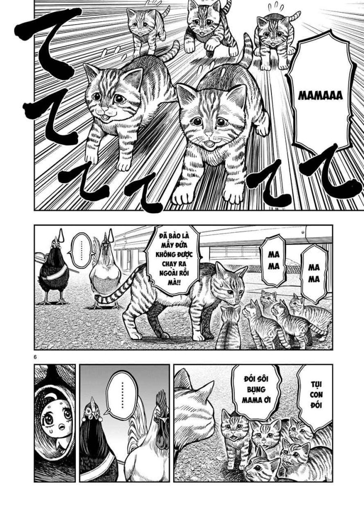 Chiến Binh Gà Trống - Page 6