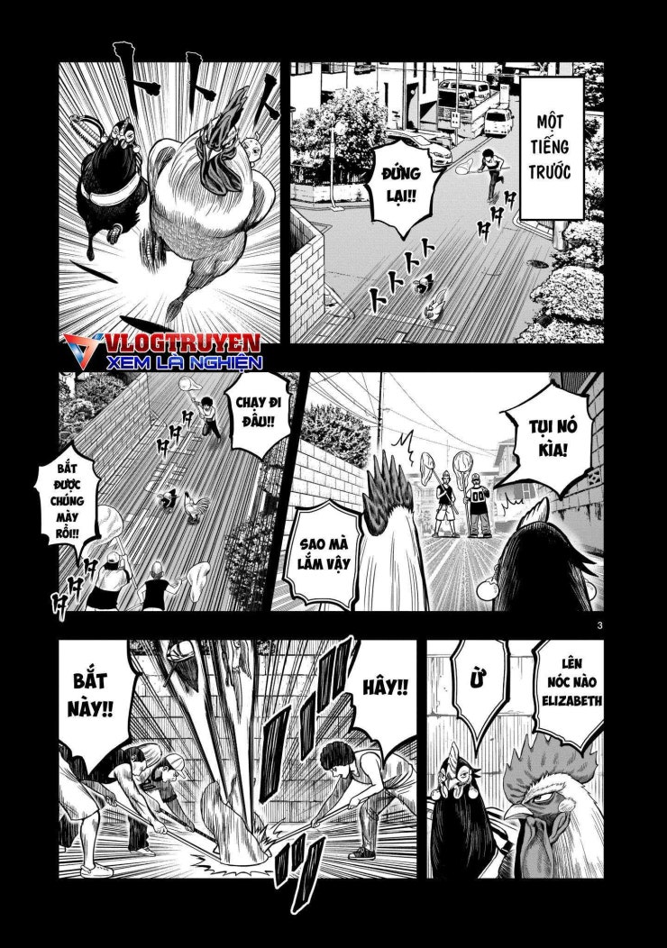 Chiến Binh Gà Trống - Page 4