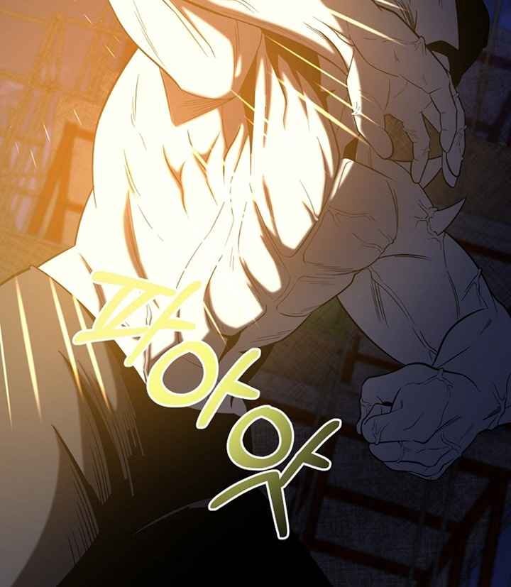 Tôi Là Thợ Săn Có Sức Mạnh Của 99 Vạn Tiền Kiếp - Page 23