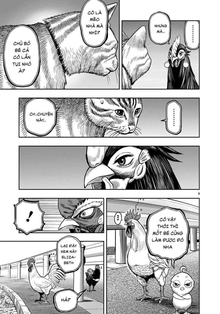 Chiến Binh Gà Trống - Page 9