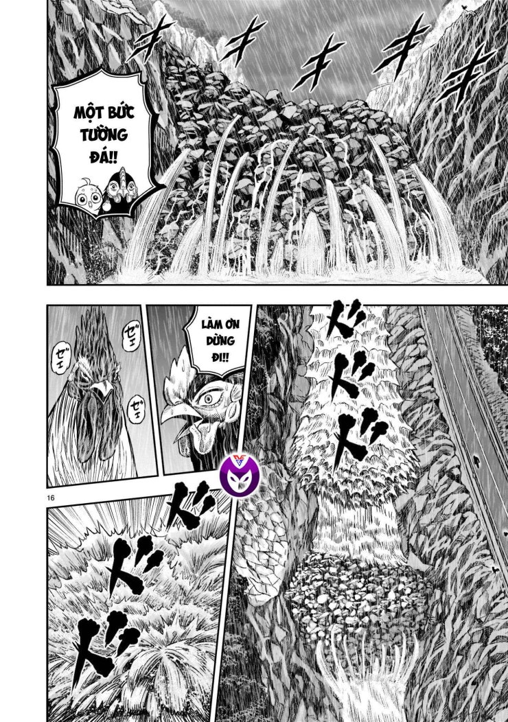Chiến Binh Gà Trống - Page 16