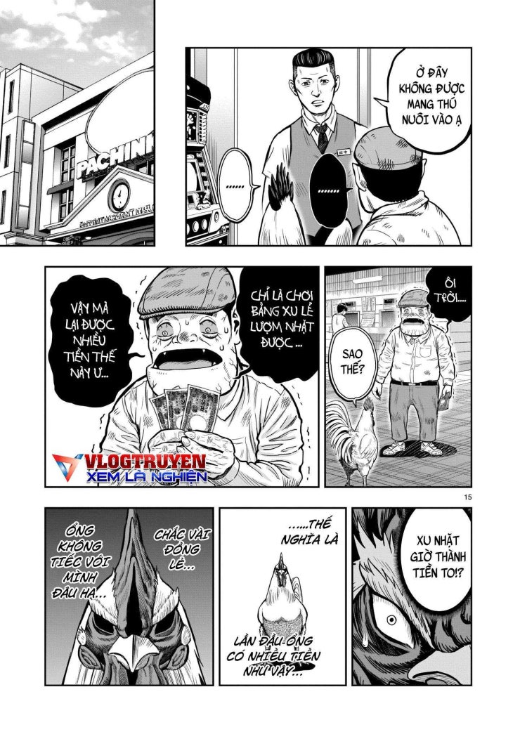 Chiến Binh Gà Trống - Page 17