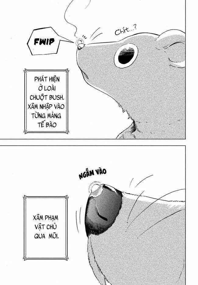 Chuyển Sinh Thành Virus Và Quá Trình Lây Nhiễm Ở Thế Giới Khác - Page 5