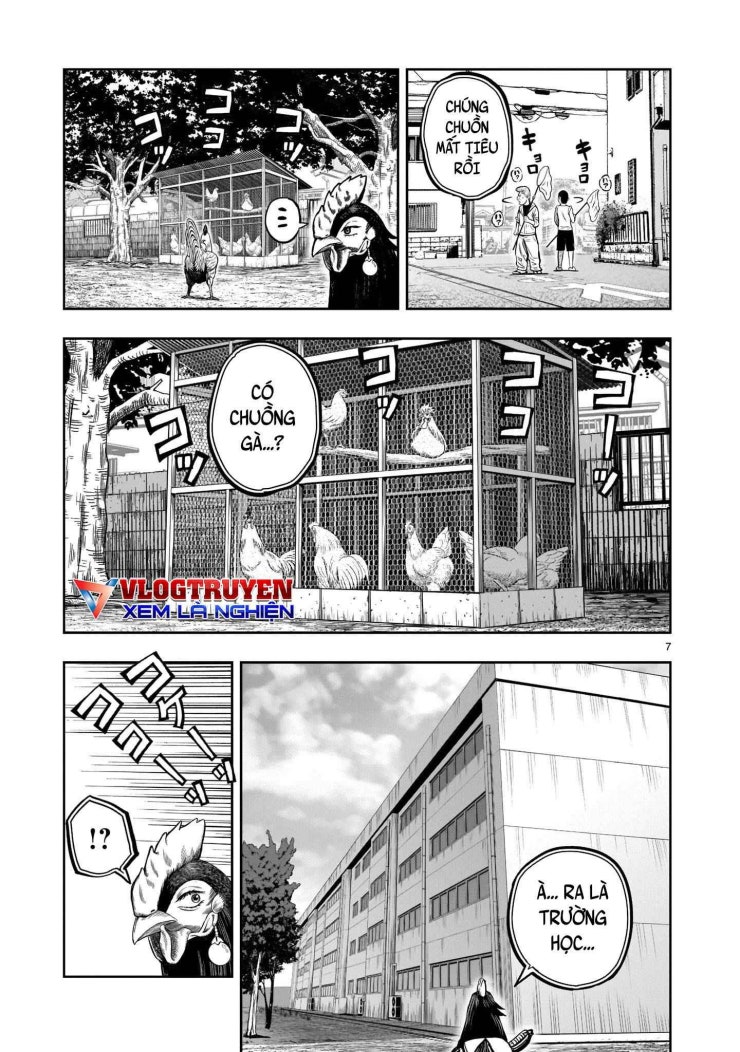 Chiến Binh Gà Trống - Page 8