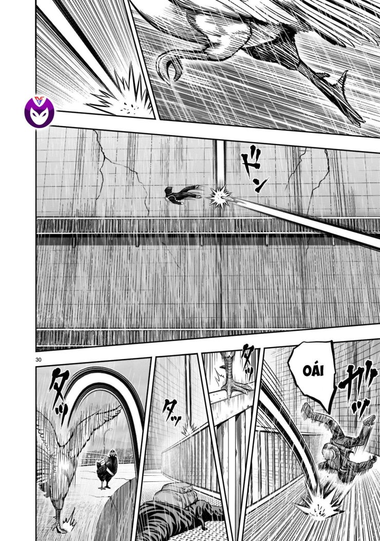 Chiến Binh Gà Trống - Page 33