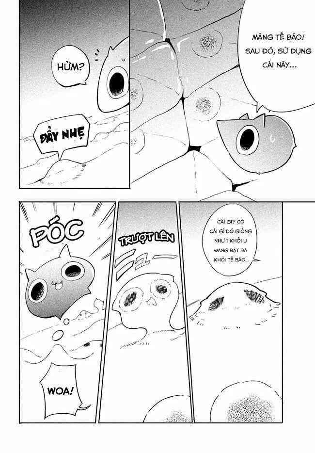 Chuyển Sinh Thành Virus Và Quá Trình Lây Nhiễm Ở Thế Giới Khác - Page 19