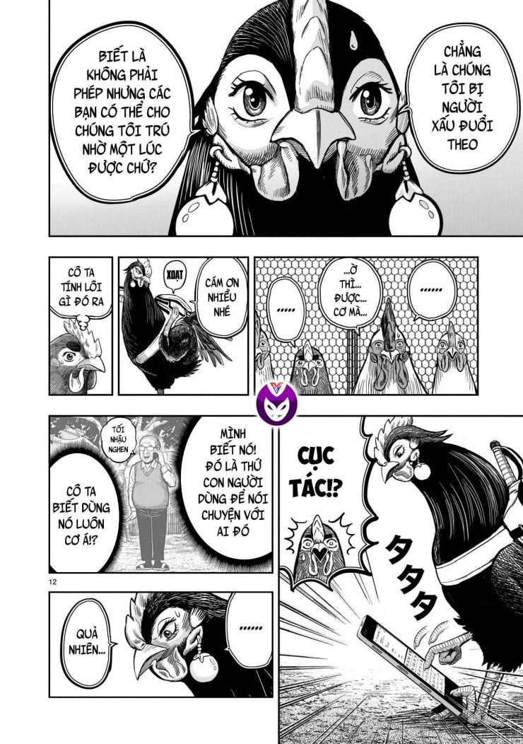 Chiến Binh Gà Trống - Page 14