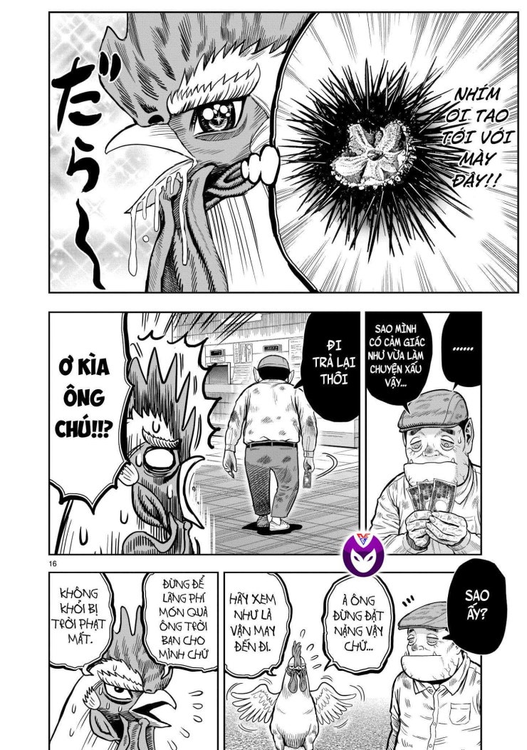 Chiến Binh Gà Trống - Page 18