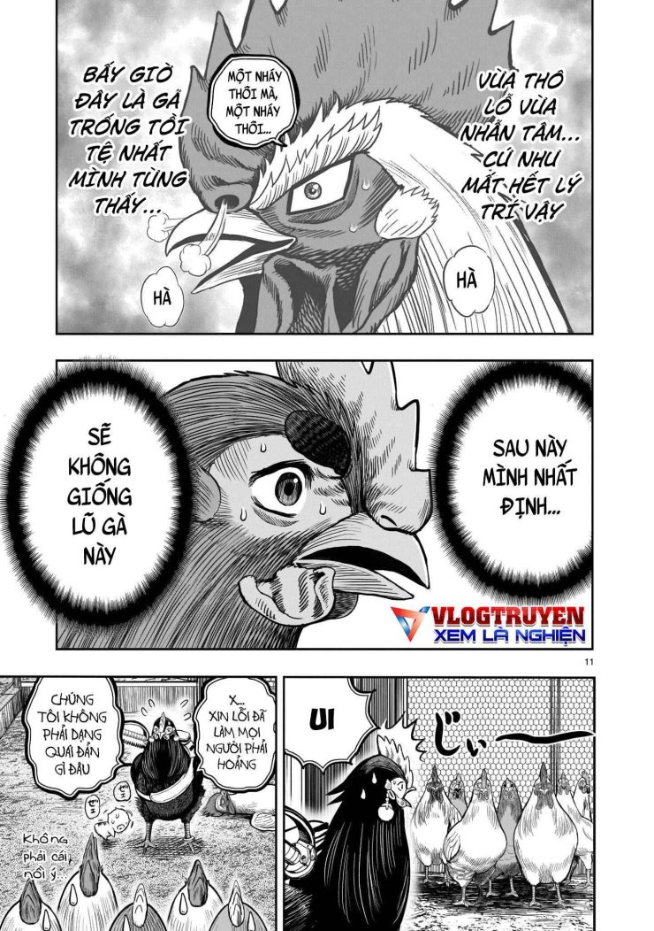 Chiến Binh Gà Trống - Page 13