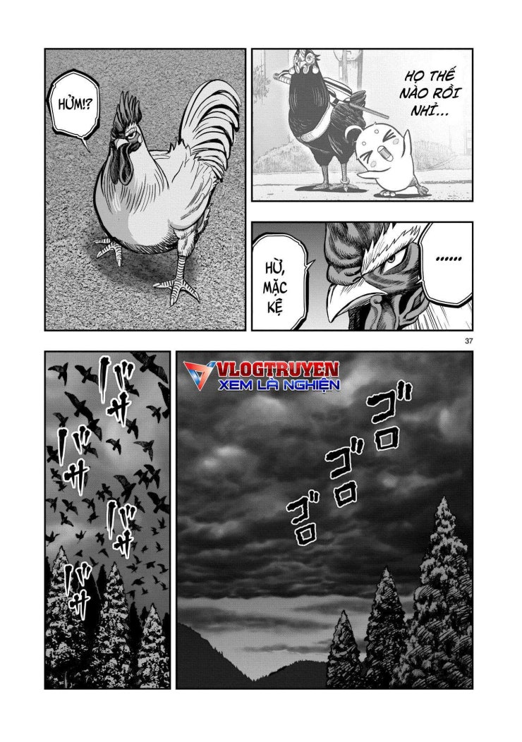 Chiến Binh Gà Trống - Page 39