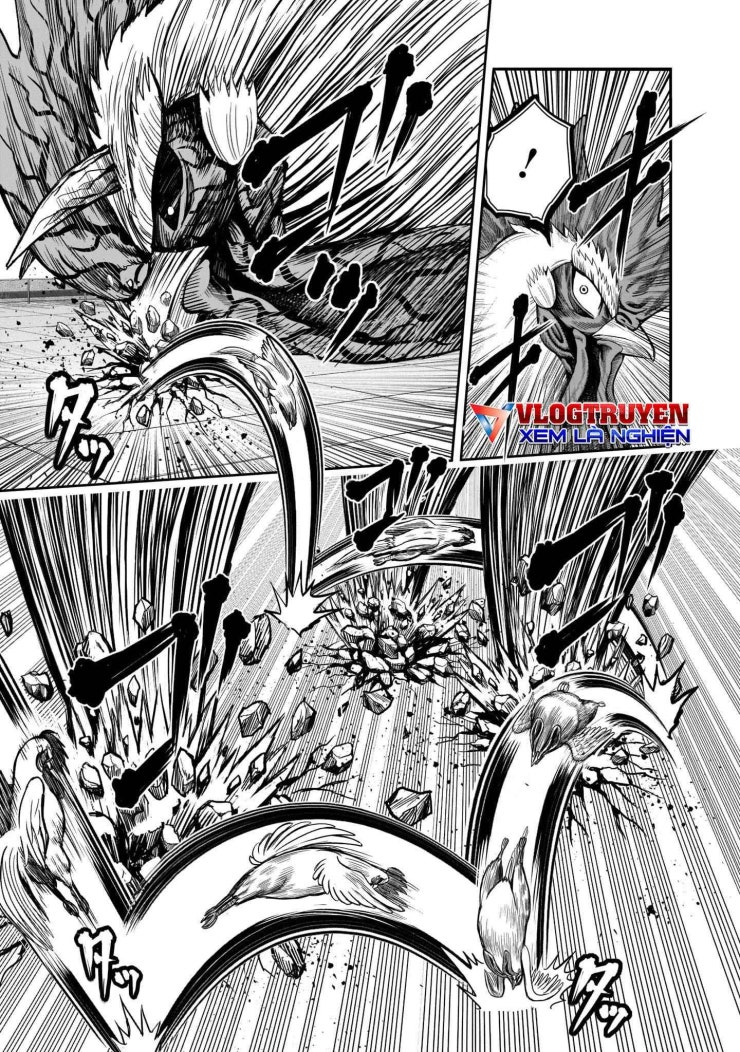 Chiến Binh Gà Trống - Page 35