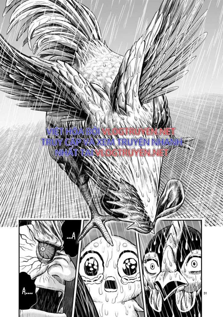 Chiến Binh Gà Trống - Page 34