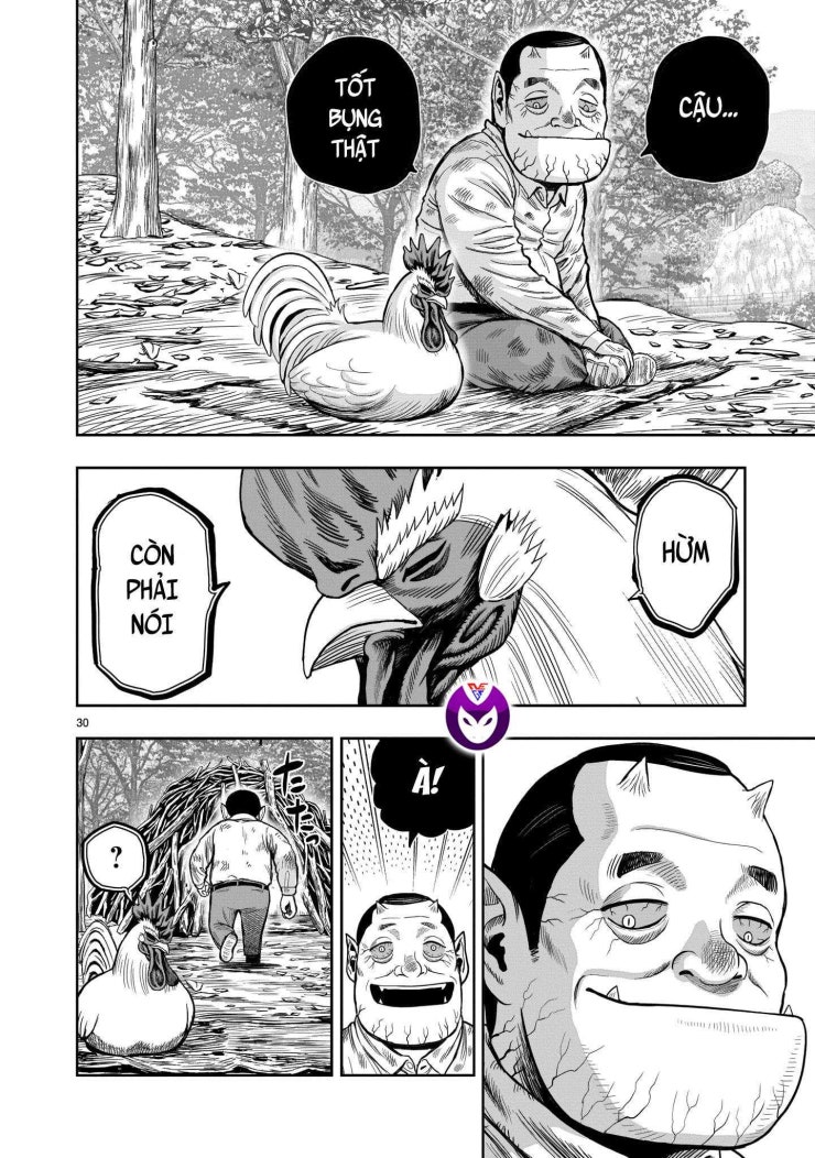 Chiến Binh Gà Trống - Page 33