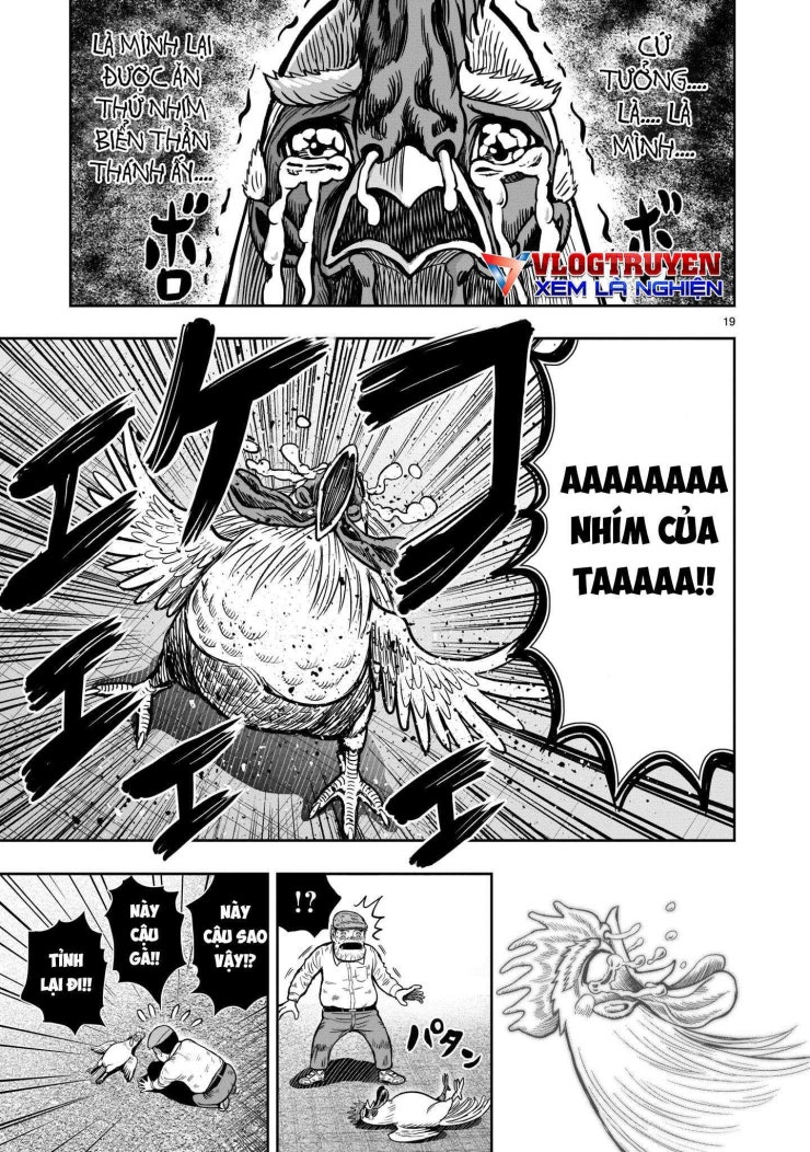 Chiến Binh Gà Trống - Page 21