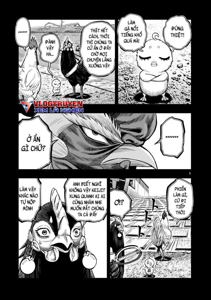 Chiến Binh Gà Trống - Page 6