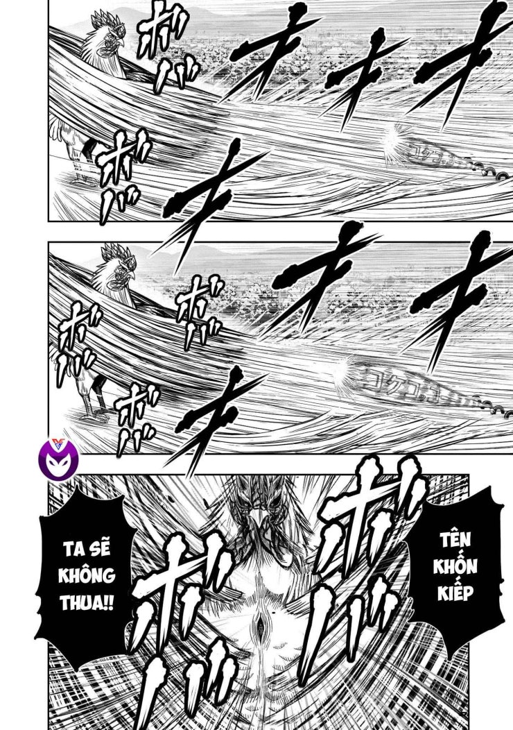 Chiến Binh Gà Trống - Page 44