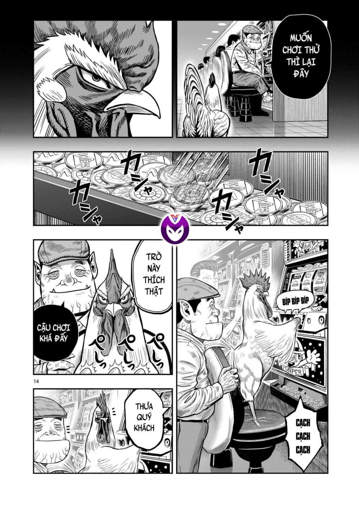 Chiến Binh Gà Trống - Page 15