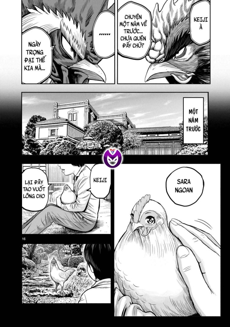 Chiến Binh Gà Trống - Page 18