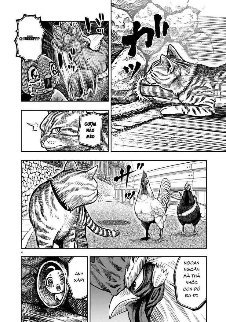 Chiến Binh Gà Trống - Page 4