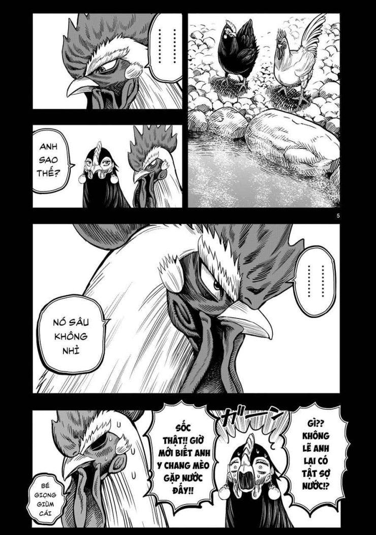 Chiến Binh Gà Trống - Page 5