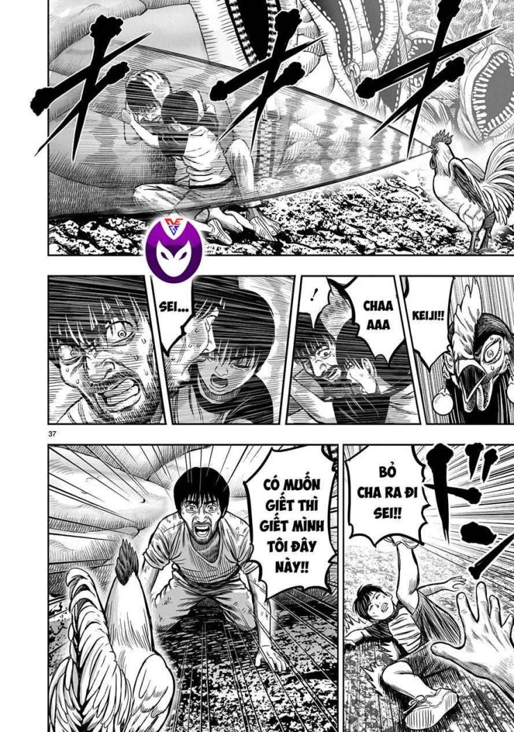 Chiến Binh Gà Trống - Page 34