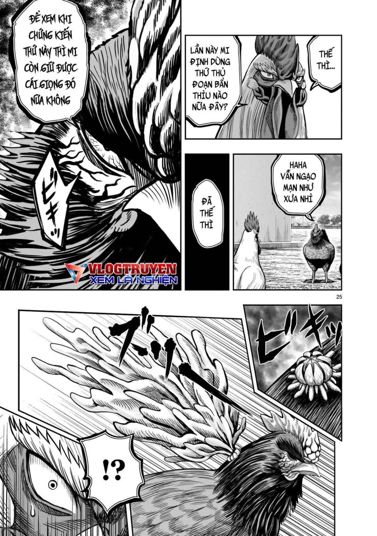 Chiến Binh Gà Trống - Page 28