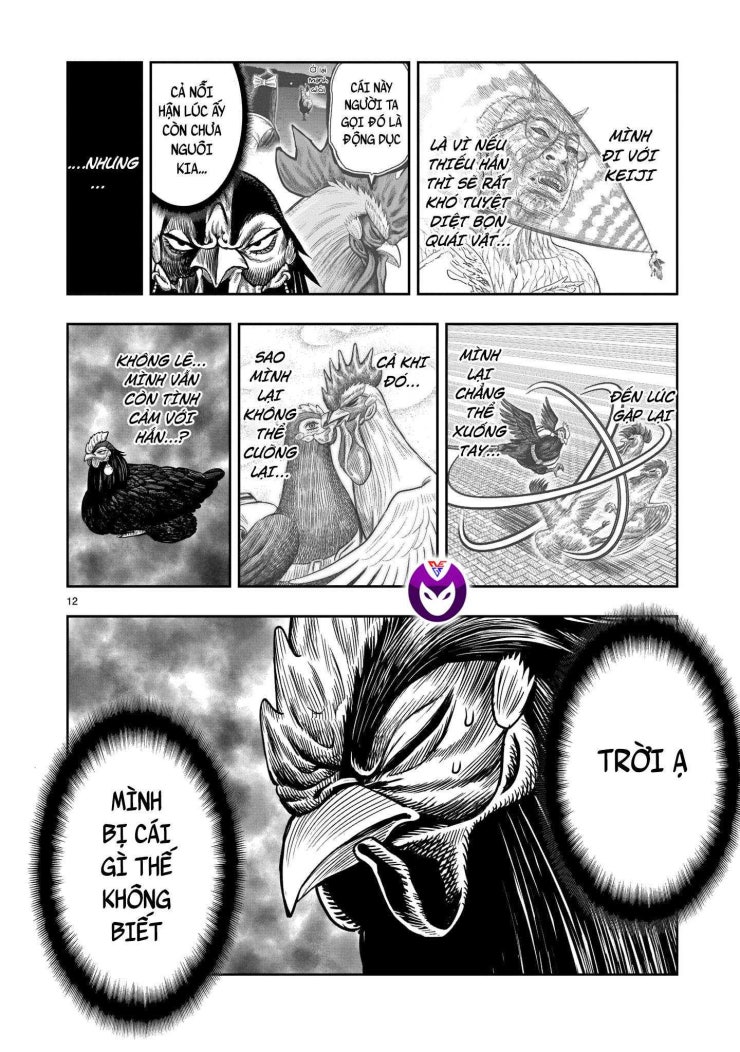 Chiến Binh Gà Trống - Page 13
