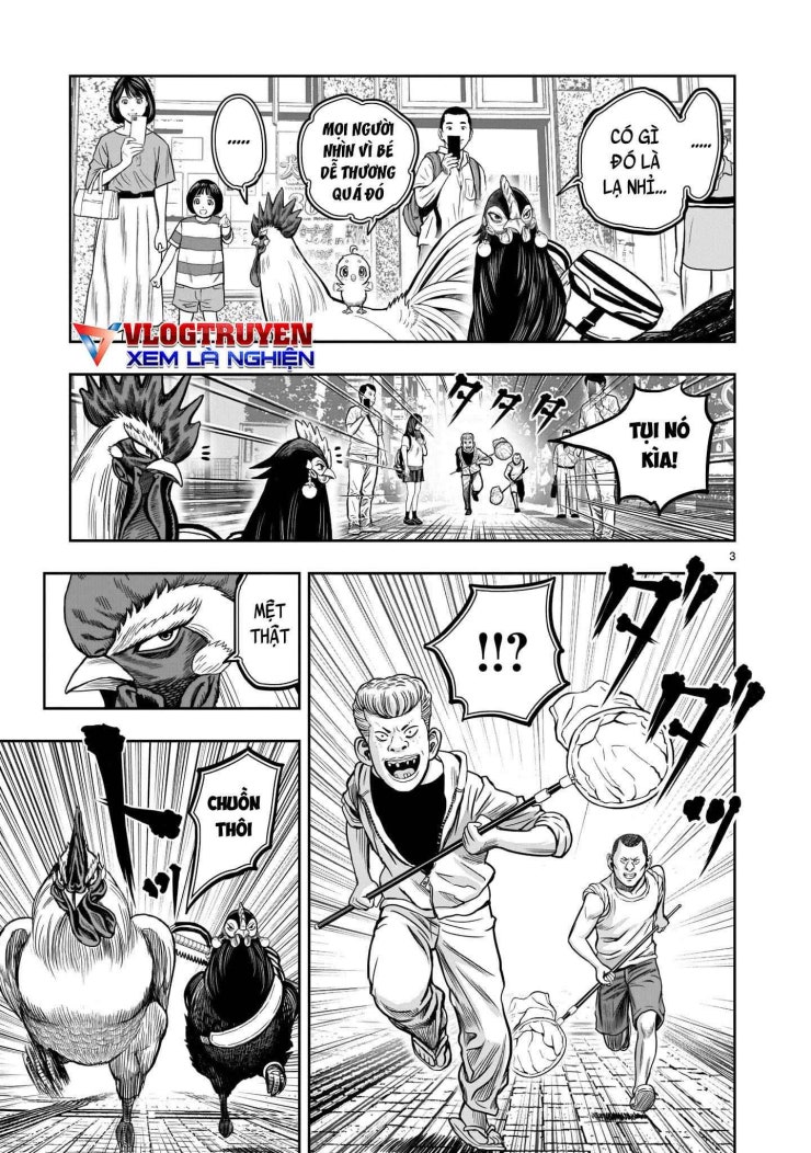 Chiến Binh Gà Trống - Page 4