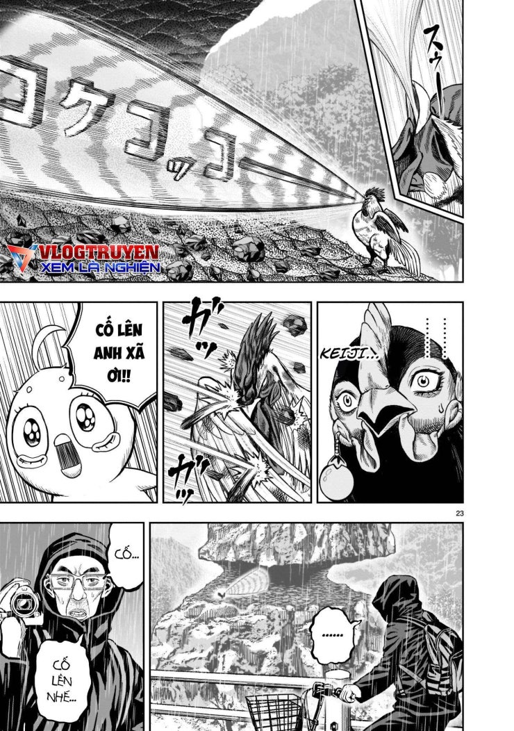 Chiến Binh Gà Trống - Page 23