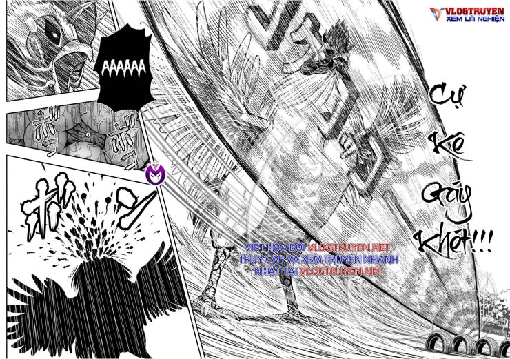 Chiến Binh Gà Trống - Page 46