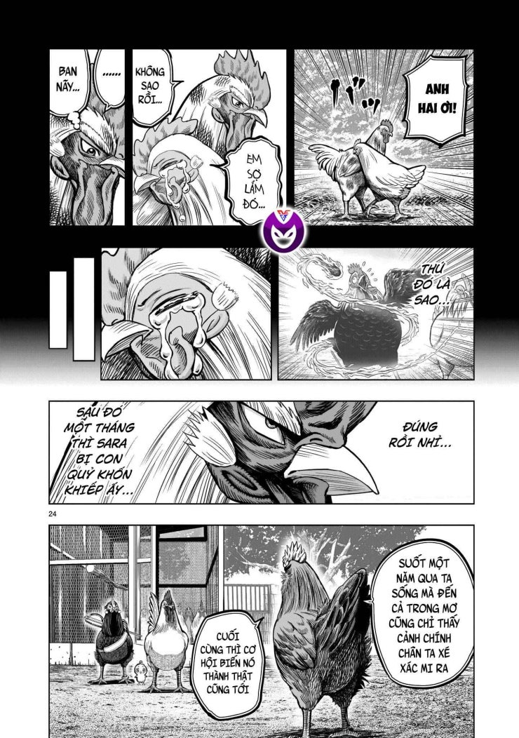 Chiến Binh Gà Trống - Page 27