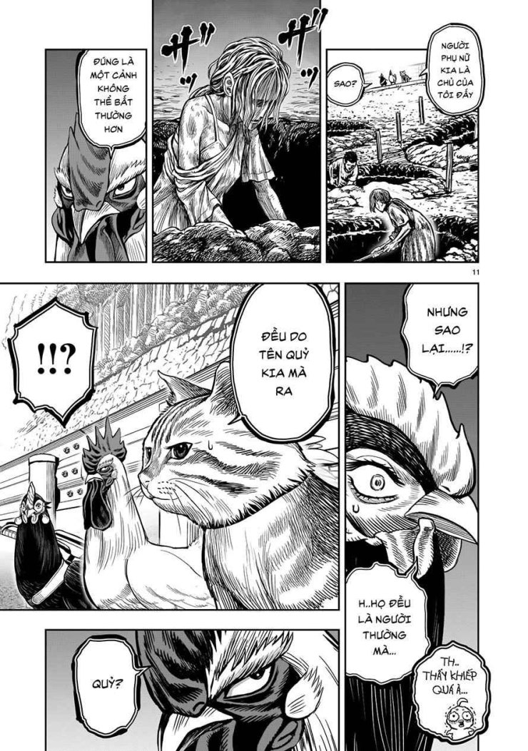 Chiến Binh Gà Trống - Page 11
