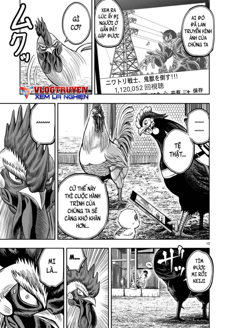 Chiến Binh Gà Trống - Page 15