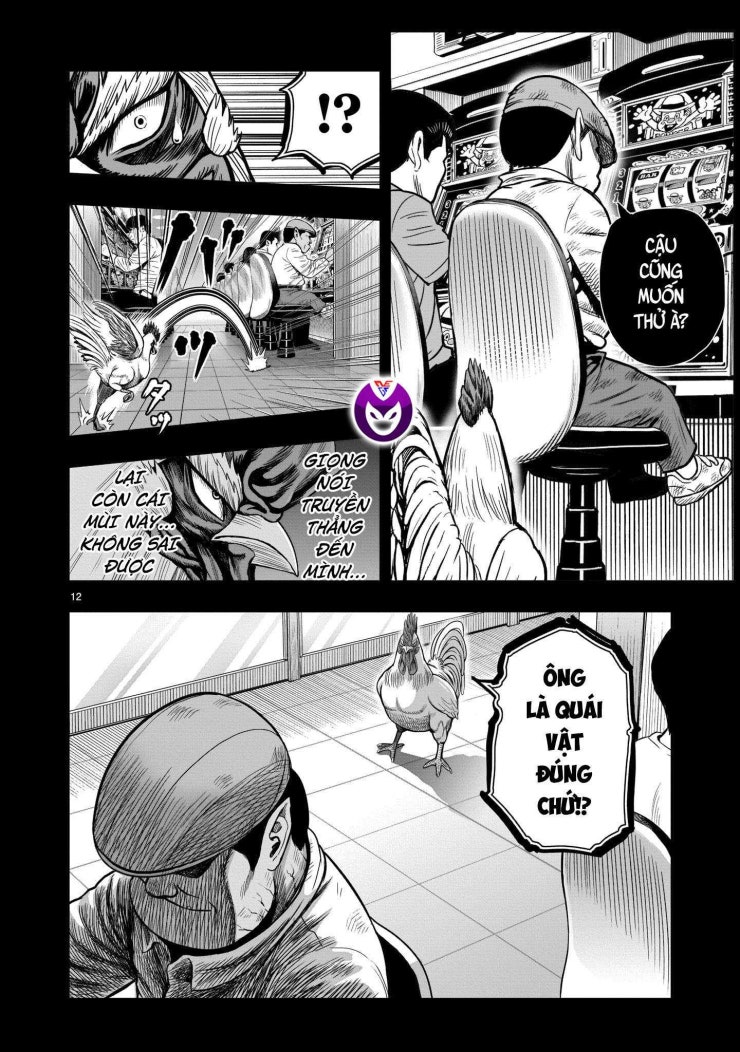 Chiến Binh Gà Trống - Page 13